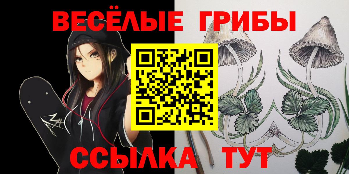 где можно купить наркотик  Вход с VPN  Галлюциногенные грибы MAGIC MUSHROOMS  Сатка  Галлюциногенные грибы Psilocybine cubensis 
