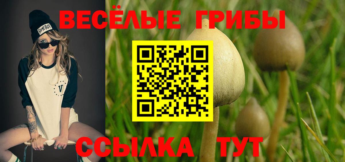 Галлюциногенные грибы GOLDEN TEACHER Сатка