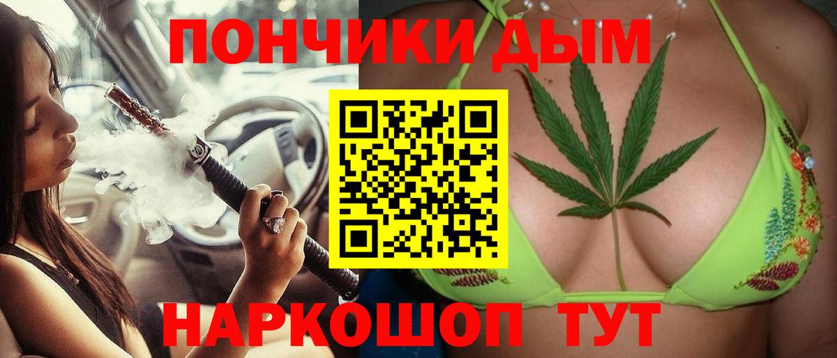 Марихуана сатива Сатка